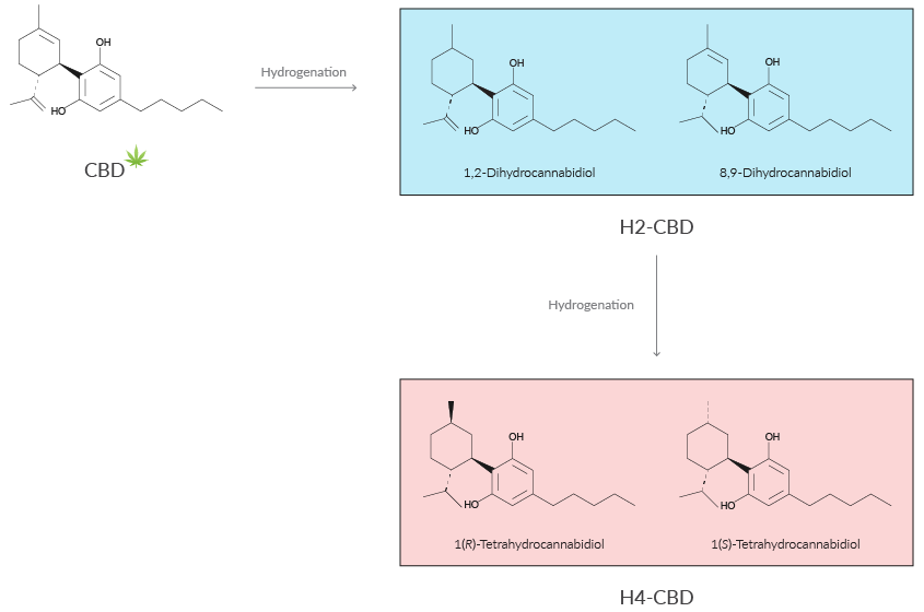 Pharmacology of Hexahydrocannabinols and Other Semi Synthetic